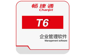 暢捷通T6